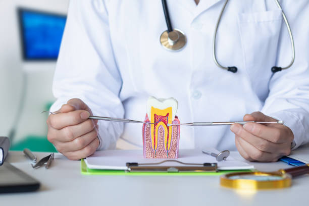 Best Walk-In Emergency Dentist in Island City, OR